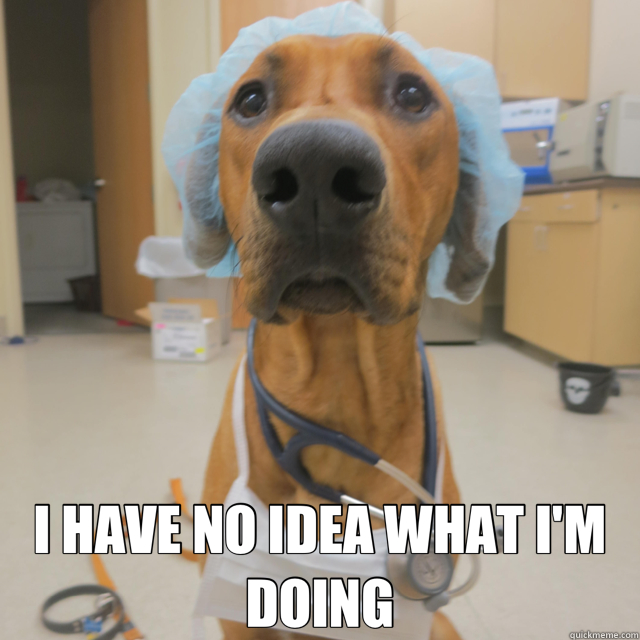  I HAVE NO IDEA WHAT I'M DOING -  I HAVE NO IDEA WHAT I'M DOING  Doctor Dog