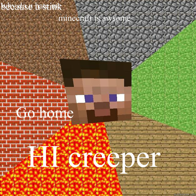 minecraft is awsome HI creeper Go home why do u hate me because u stink - minecraft is awsome HI creeper Go home why do u hate me because u stink  Minecraft