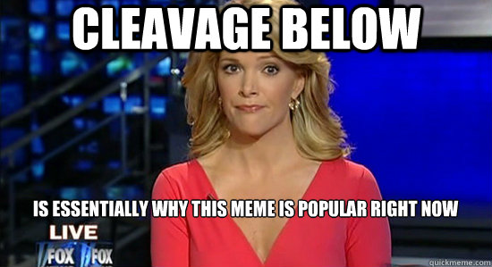 Cleavage below Is essentially why this meme is popular right now  essentially megyn kelly