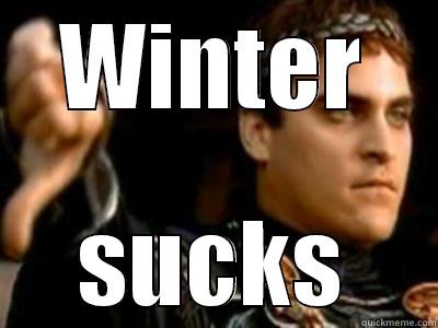 WINTER SUCKS Downvoting Roman