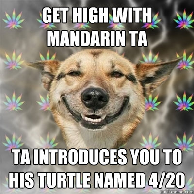 Get high with Mandarin TA TA introduces you to his turtle named 4/20  Stoner Dog