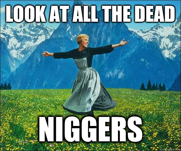look at all the dead Niggers  Look At All The Fucks I Give