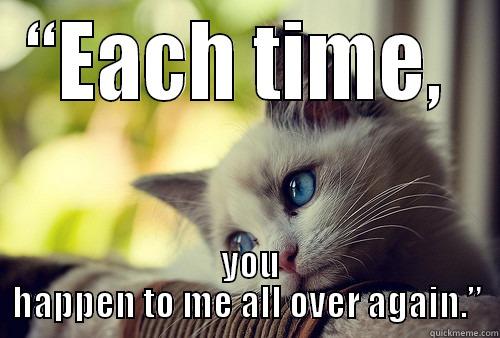 “EACH TIME,   YOU HAPPEN TO ME ALL OVER AGAIN.” First World Problems Cat