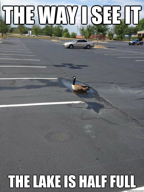 THE WAY I SEE IT THE LAKE IS HALF FULL - THE WAY I SEE IT THE LAKE IS HALF FULL  Optimistic Goose