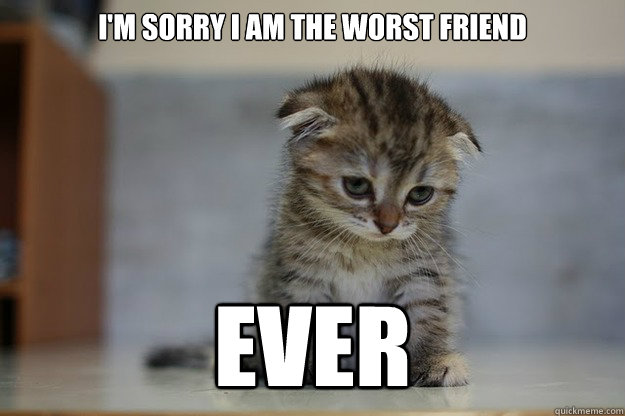 I'm sorry i am the worst friend EVER  Sad Kitten