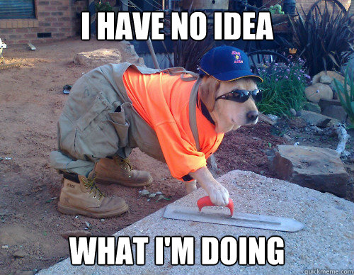 I have no idea what i'm doing  