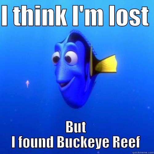 Finding Buckeye Reef - I THINK I'M LOST  BUT I FOUND BUCKEYE REEF dory