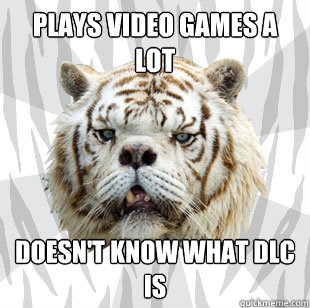 Plays video games a lot doesn't know what DLC is  