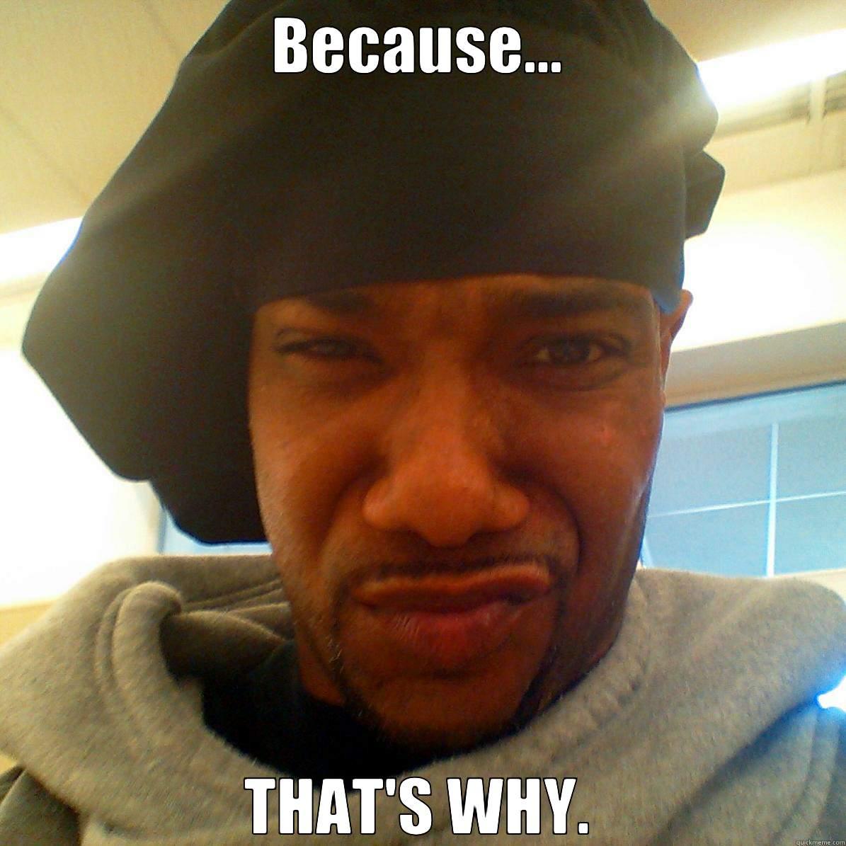 BECAUSE... THAT'S WHY. Misc