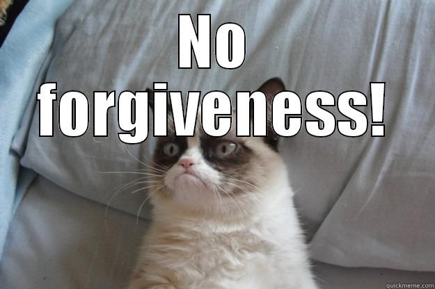NO FORGIVENESS!  Grumpy Cat