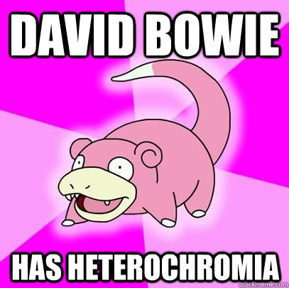 david bowie  has heterochromia  Slowpoke