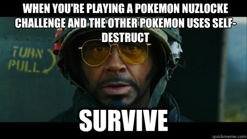 When you're playing a Pokemon Nuzlocke challenge and the other pokemon uses self-destruct SURVIVE   SURVIVE