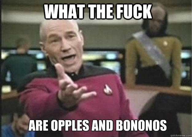 What the fuck are opples and bononos - What the fuck are opples and bononos  Annoyed Pichard