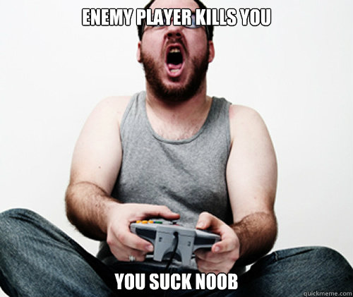 Enemy player kills you you suck noob  Online Gamer Logic