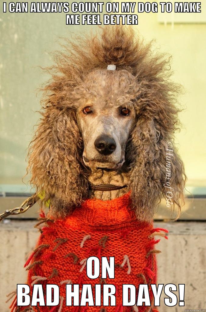 Dog Hair Noon - I CAN ALWAYS COUNT ON MY DOG TO MAKE ME FEEL BETTER ON BAD HAIR DAYS! Misc