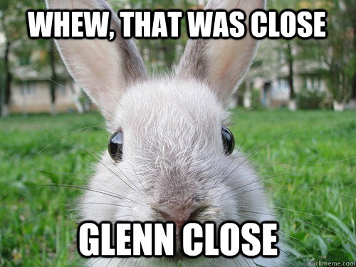 Whew, that was close Glenn Close  Rabbit webcam