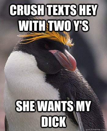 crush texts hey with two y's she wants my dick   Socially Overconfident Penguin