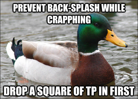 Prevent back-splash while crapphing drop a square of TP in first  Actual Advice Mallard