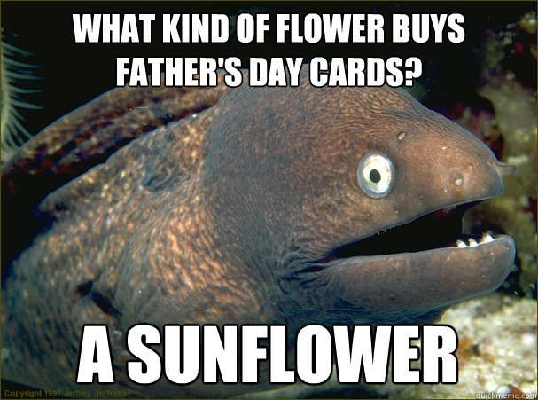 what kind of flower buys father's day cards? a sunflower  Bad Joke Eel
