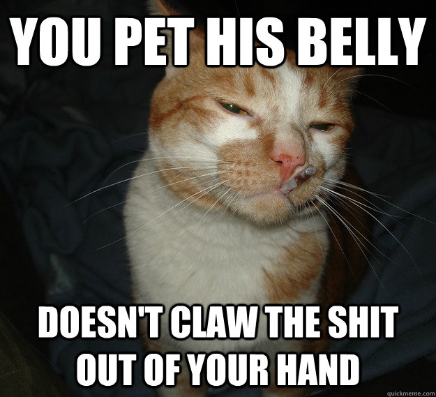 you Pet his belly doesn't claw the shit out of your hand  Cool Cat Craig