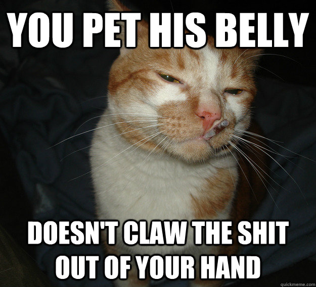 you Pet his belly doesn't claw the shit out of your hand  Cool Cat Craig