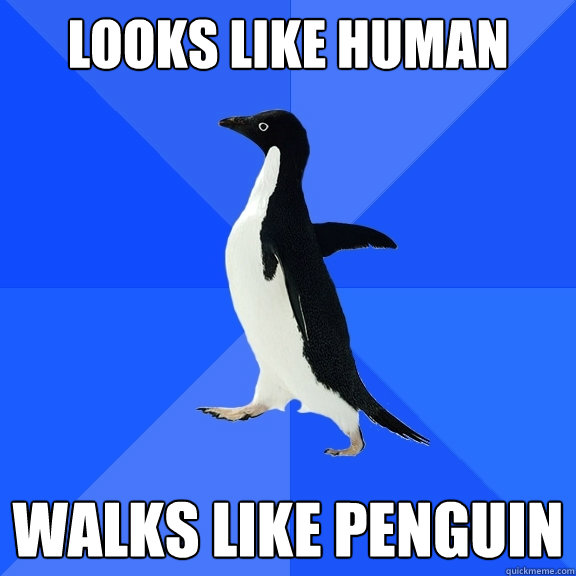 Looks like human Walks like penguin  Socially Awkward Penguin