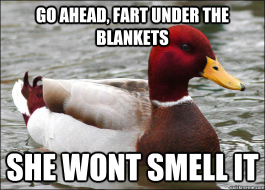 go ahead, fart under the blankets she wont smell it  Malicious Advice Mallard