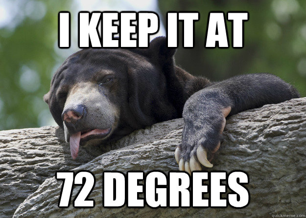 I keep it at 72 degrees - I keep it at 72 degrees  Hot confession bear