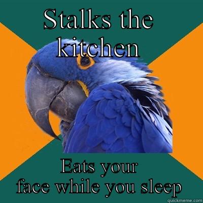 STALKS THE KITCHEN EATS YOUR FACE WHILE YOU SLEEP Paranoid Parrot