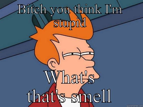 BITCH YOU THINK I'M STUPID WHAT'S THAT'S SMELL Futurama Fry
