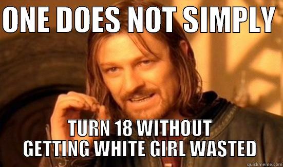 ONE DOES NOT SIMPLY  TURN 18 WITHOUT GETTING WHITE GIRL WASTED Boromir