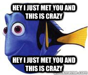 Hey I just Met You and this is Crazy Hey i just met you and this is crazy - Hey I just Met You and this is Crazy Hey i just met you and this is crazy  Misc