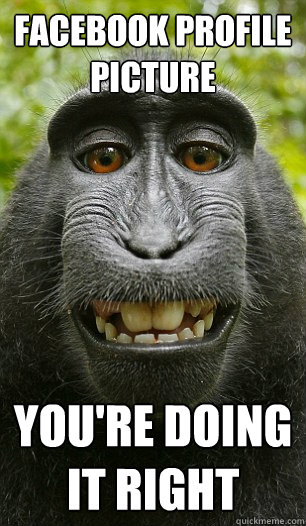Facebook profile picture You're doing it right  Mindful Macaque