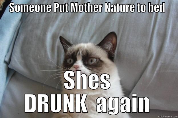 SOMEONE PUT MOTHER NATURE TO BED  SHES DRUNK  AGAIN Grumpy Cat