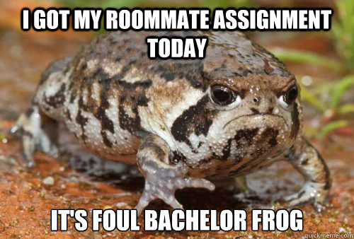 I got my roommate assignment today IT's foul bachelor frog  