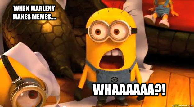 WHAAAAAA?! when marleny makes memes.... - WHAAAAAA?! when marleny makes memes....  Minion Whaaaa!