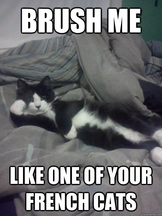 Brush me like one of your french cats - Brush me like one of your french cats  Misc