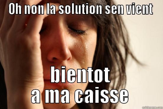 OH NON LA SOLUTION SEN VIENT BIENTOT A MA CAISSE First World Problems