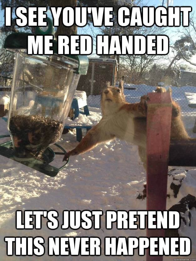 I see you've caught me red handed let's just pretend this never happened - I see you've caught me red handed let's just pretend this never happened  Misc