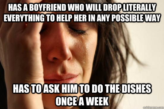 Has a boyfriend who will drop literally everything to help her in any possible way has to ask him to do the dishes once a week  First World Problems