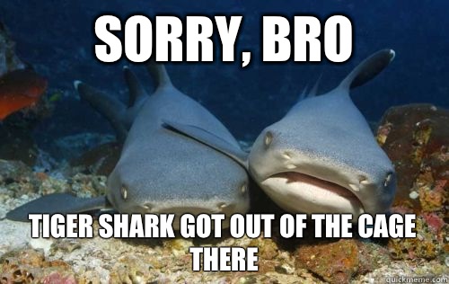 Sorry, bro Tiger shark got out of the cage there   Compassionate Shark Friend