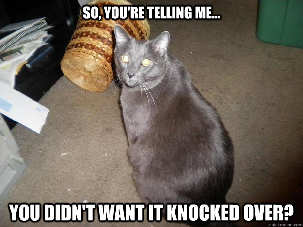 So, You're telling me... You DIDN'T want it knocked over?  