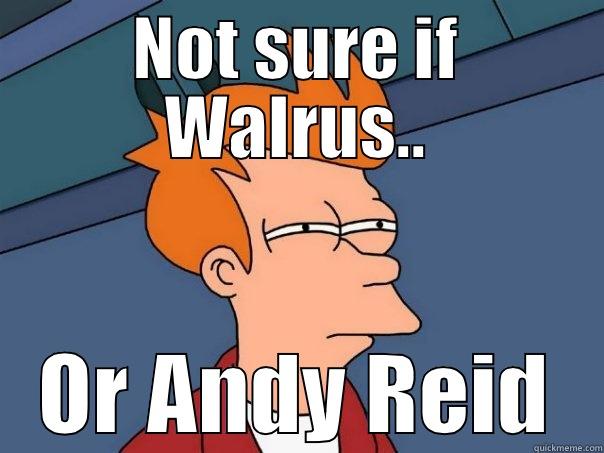 NOT SURE IF WALRUS.. OR ANDY REID Futurama Fry