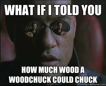 What if I told you How much wood a woodchuck could chuck  Morpheus SC