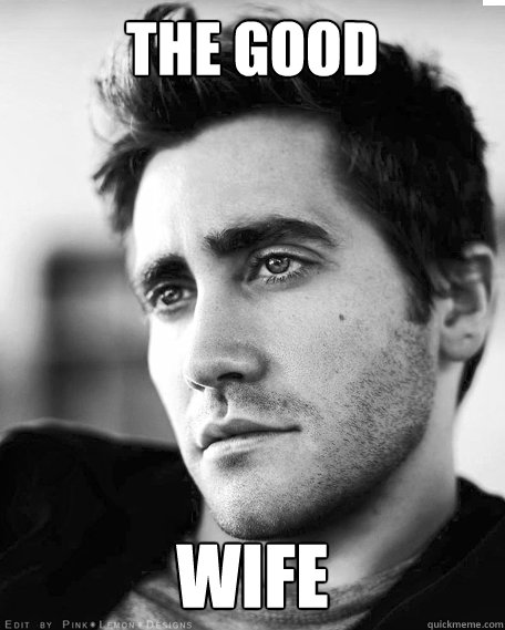 the good wife - the good wife  the good wife