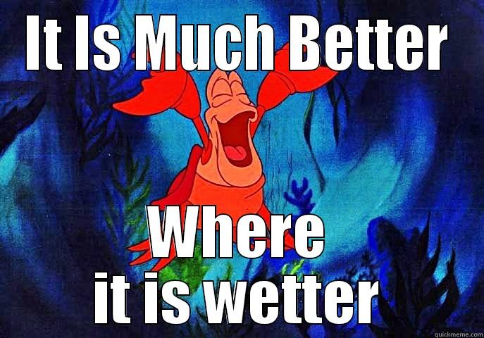 IT IS MUCH BETTER WHERE IT IS WETTER Misc
