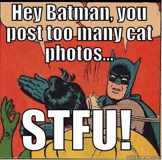 HEY BATMAN, YOU POST TOO MANY CAT PHOTOS... STFU! Slappin Batman