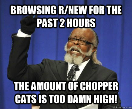 Browsing R/New for the past 2 hours The amount of chopper cats is too damn high!  Too Damn High