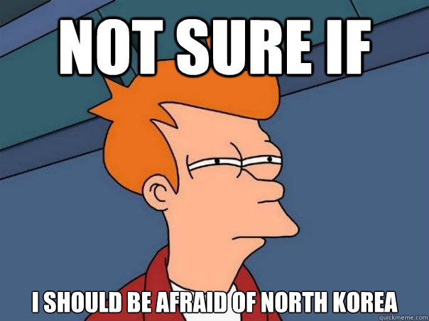 Not sure if I should be afraid of North Korea  Futurama Fry