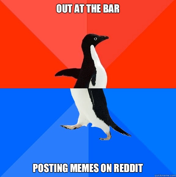 out at the bar posting memes on reddit  Socially Awesome Awkward Penguin